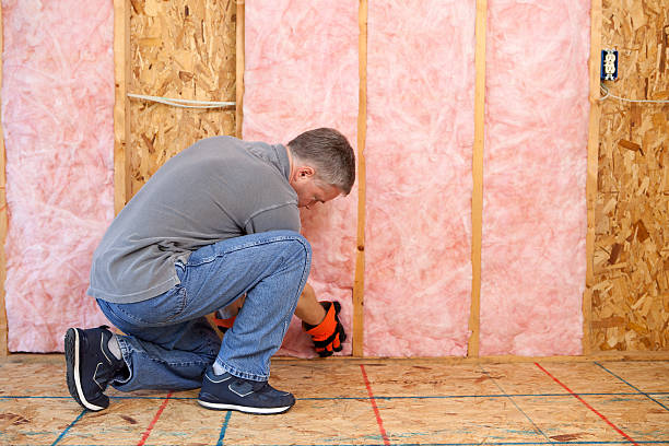 Best Commercial Insulation in Floris, VA